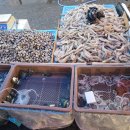 종려나무복지센터 이미지