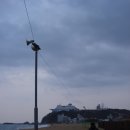 조각공원길 이미지