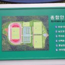 스포츠파크 족구장 Daum카페