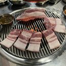 탄통제주돼지 이미지