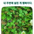 다비치사 이미지