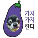타임동물메디컬센터 이미지