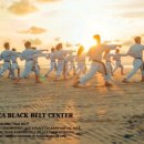 코리아 블랙벨트 센타 이미지