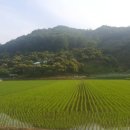 홍산관광농원 캠핑장 네이버블로그