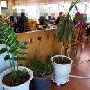 김가네영양해물칼국수 이미지