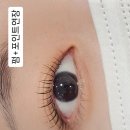 셀렉뷰티 이미지