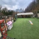 옥자네애견카페 유치원 호텔 미용 이미지