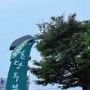 초당동 행정복지센터 이미지