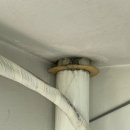 그린빌18단지앞 이미지