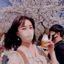 서울 근교 벚꽃 명소 후기