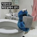 호라 이미지