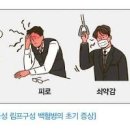 급성 림프구성 백혈병 초기증상과 백혈구 정상수치 관리 이미지