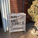 테디스테디고 | 대전 선화동 고양이 카페 테디스테디고 후기
