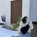 수니아 이미지