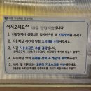 4880 | 광명역 놀거리ㅣ벌툰 몽유도원 광명역점 이용방법 총정리 내 돈 내산 후기