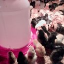 현주슈퍼 이미지