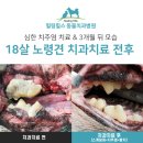 서울동물심장병원 이미지
