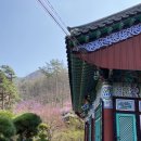 악견산등산로 이미지