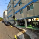 금강텔 Daum카페