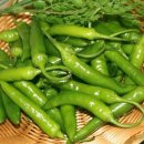 자연대로 이미지