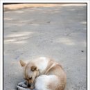 운식농장 네이버블로그