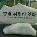봄코리아 - 충주시 | 봄코리아