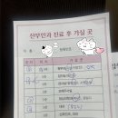 연제구-184 | 연제일신병원 자궁근종 수술 후기 | 키운 혹, 드디어 제거 결심 / 자궁근종 수술 전 검사·보험 팁까지...