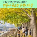 온양온천역 대여소 | 아산 가을 명소 현충사 곡교천 은행나무길 11월 가을여행지 추천