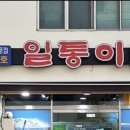 해남1호 티스토리