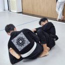 대청주짓수 | 장유주짓수 주짓수의 매력, 또지코리아 대청점에서의 경험