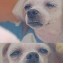 주도복싱클럽 이미지