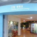 숲사랑(산불방지)홍보관 이미지