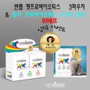 그루머스 스튜디오 | 이모션펫 위메프 입점 미아모아 반랩캣프로바이오틱스 사은품 증정