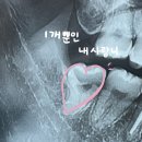 중말쉼터 | 보통의 삶ㅣ푸릇했던 기억들.zip