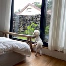 스테이바움 이미지