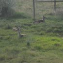 베어스톤 이미지