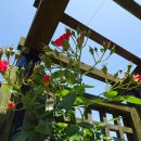 장단콩마을 이미지