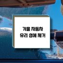 유리성 | 겨울 자동차 유리성에 제거 안전하게 진행하는 방법은?