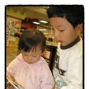 홍진농장2 이미지