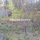 큰바위공인중개사사무소 이미지