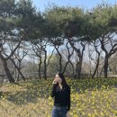 먹고 또 먹고 전주여행(3) 마지막 / 전주 현대옥 본점 콩나물국밥, 전주동물원 나들이