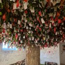 알프스파크 이미지