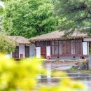 대야산자연휴양림 이미지