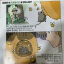 이지바이오텍 | 먹기 간편한 유니크바이오텍 유니비이 맛있는 프로폴리스