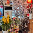 유래등 | 오래된 중식 맛집 '유래등' 짜장면 솔직후기