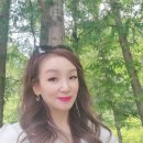 인셀덤 경북대리점 이미지