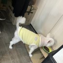 문화초등학교 | [대전에스테틱 추천] 전문 자격 갖춘 선생님의 1:1 피부관리! 문화동 보나메디스킨