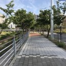 덕풍천 산책로 이미지