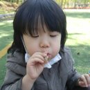 숲에서자라는아이들 이미지