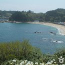 장호관광지 이미지